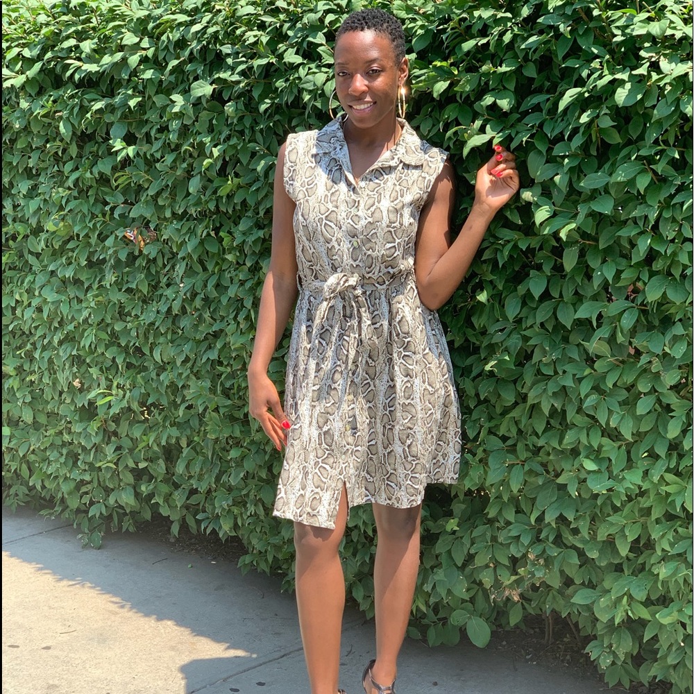 0390 NWOT Snake Print Dress by Rachel Rachel Roy